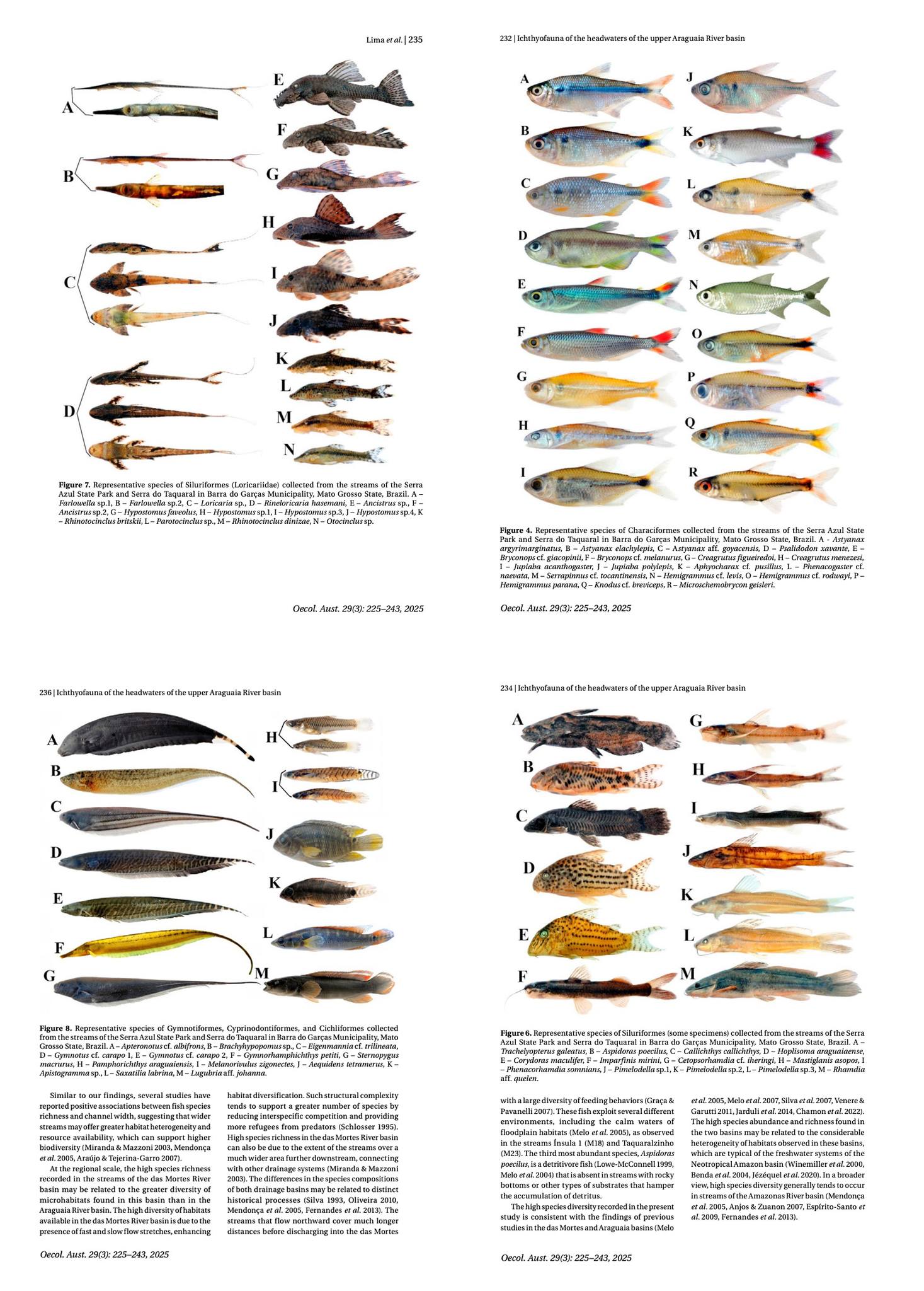Fish - The aim of this study was to analyze the species richness ...