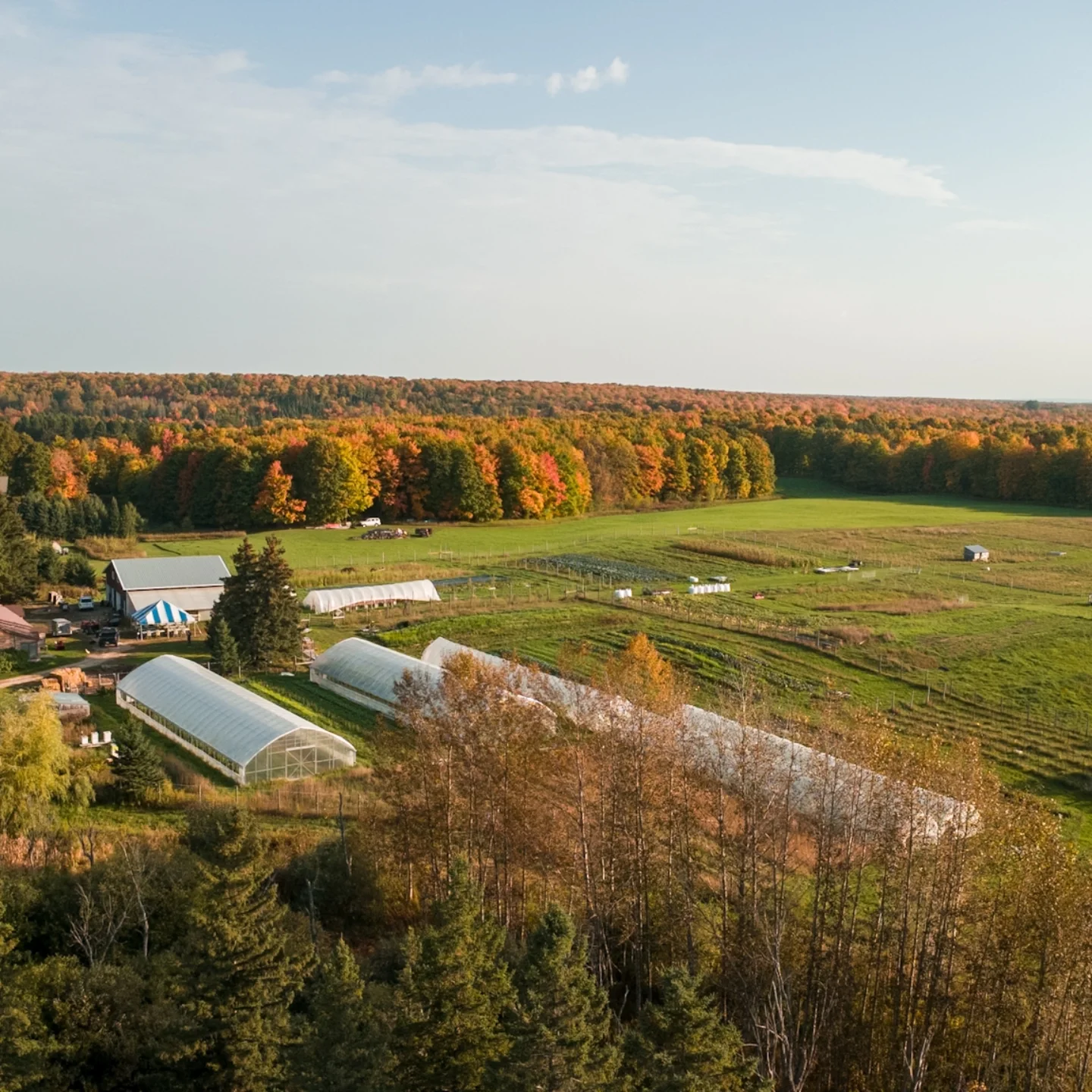 Yooper Country