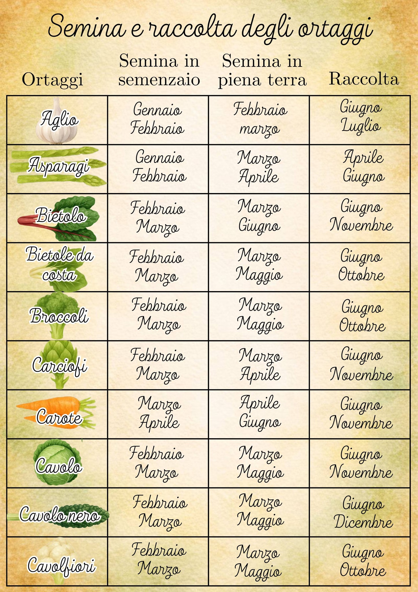 Calendario Stagionale Frutta E Verdura OwnGrown – Semine E Raccolte, Illustrazioni A Mano, A4/A3