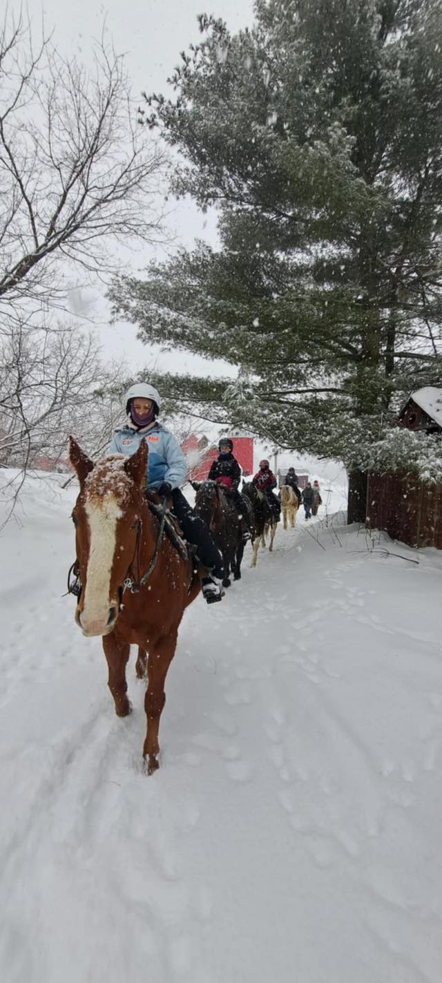 Equita ranch | Cantley QC