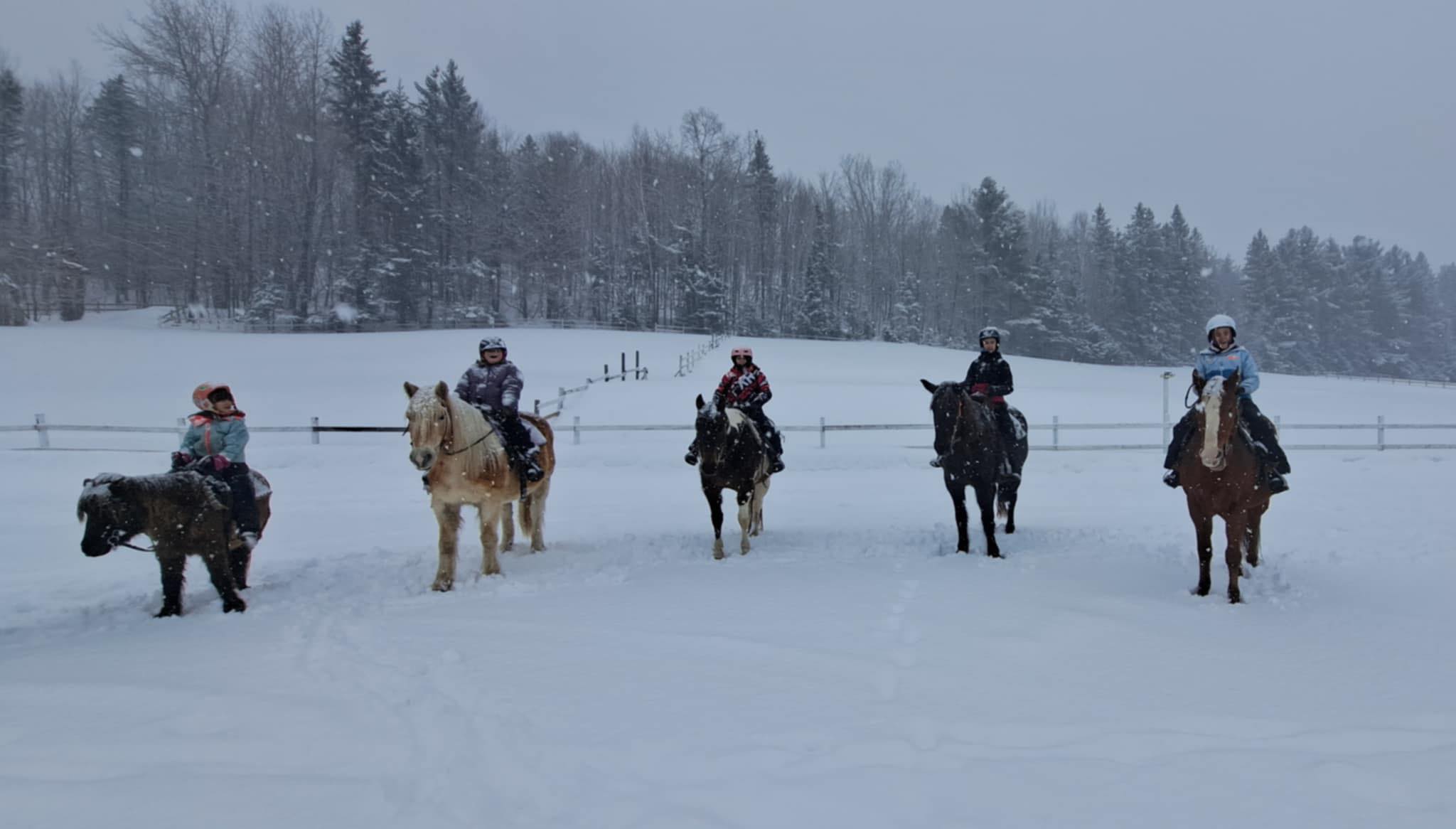 Equita ranch | Cantley QC
