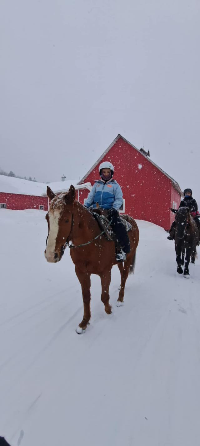 Equita ranch | Cantley QC