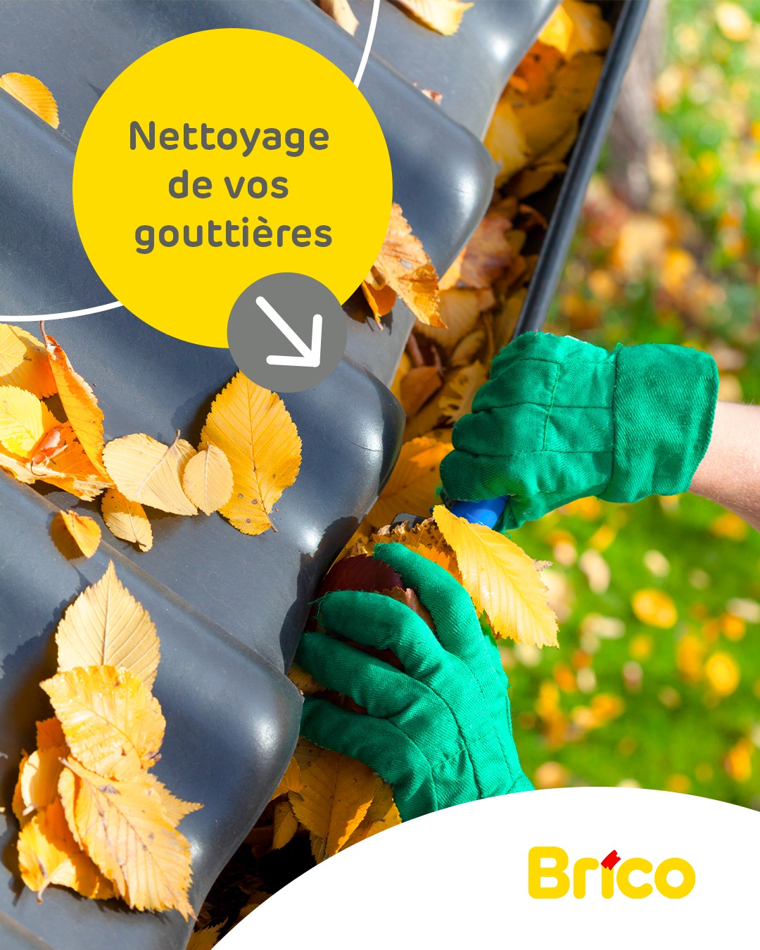 Sitemapcdatahttpsshudreferenzcompare Feuille Gouttiere Brico Depotnull
