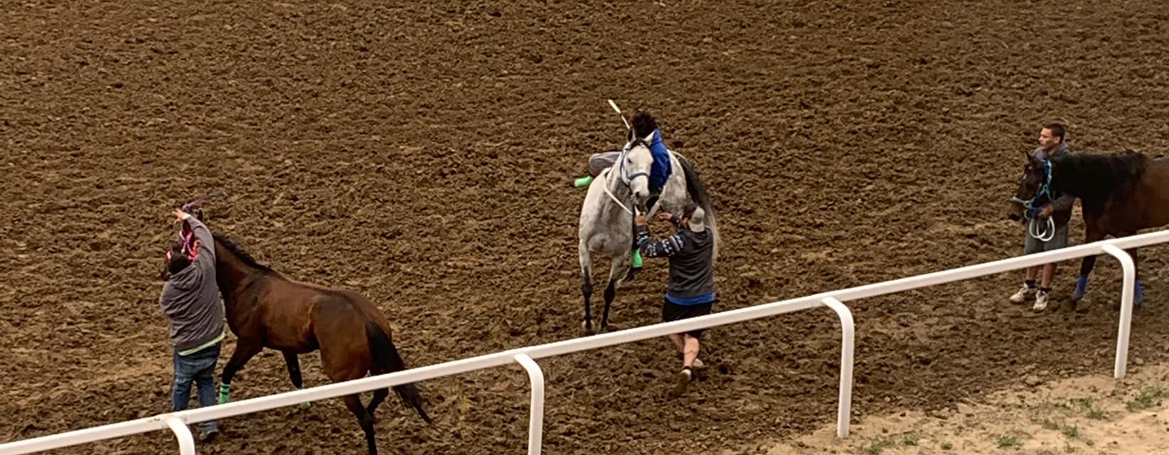 Moonlight Racing | Chubbuck ID
