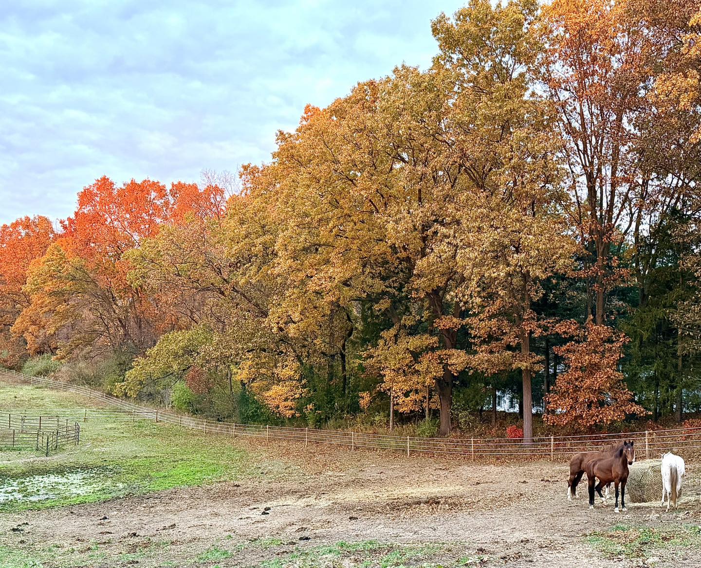 Starlight Pines Equestrian Center | Battle Creek MI