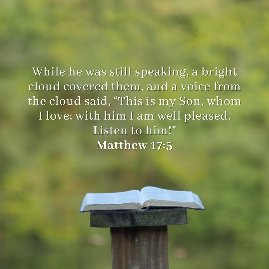 Church - Now the disciples beheld somewhat of Christ's glory, as of the ...