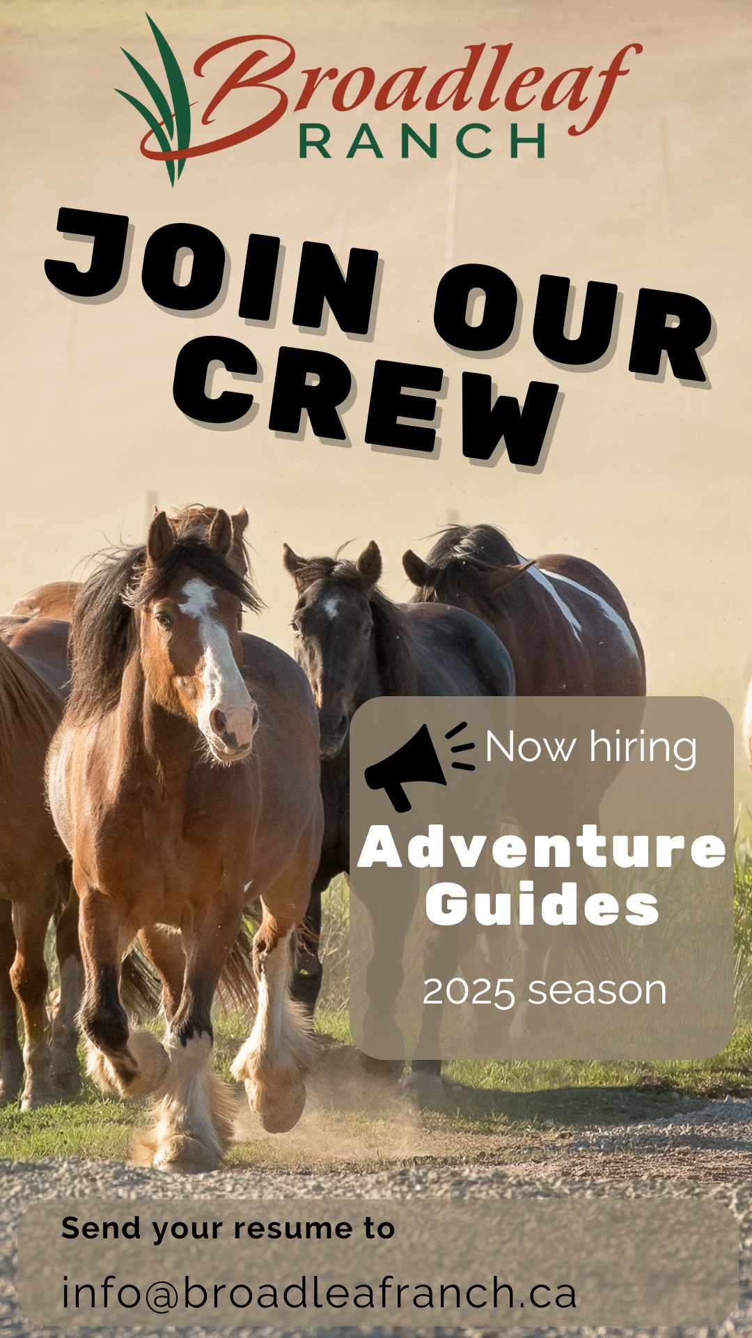 Broadleaf Ranch - 🌟Exciting news! 🌟 We are now hiring for... | Facebook
