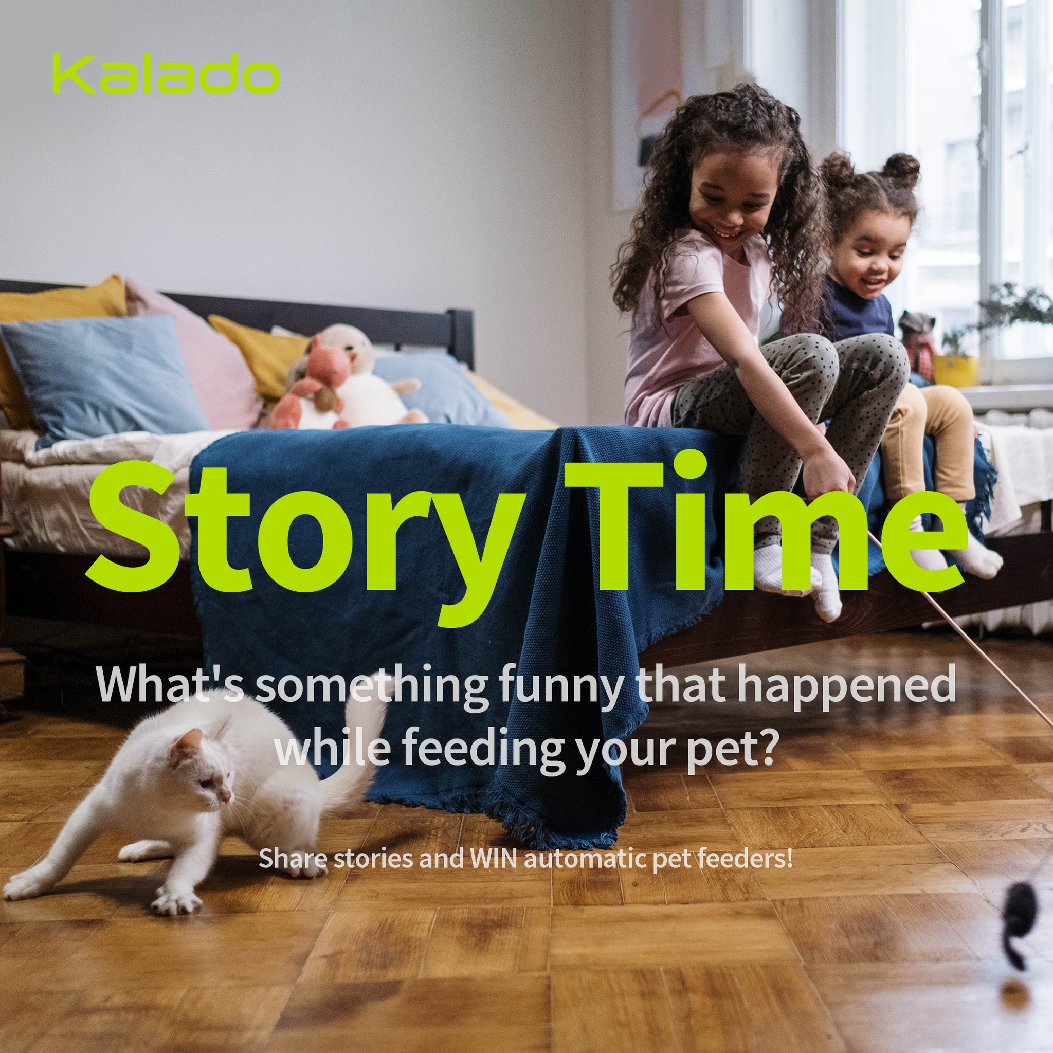 Kalado - 📖Story time📖 All of us pet owners know that... | Facebook