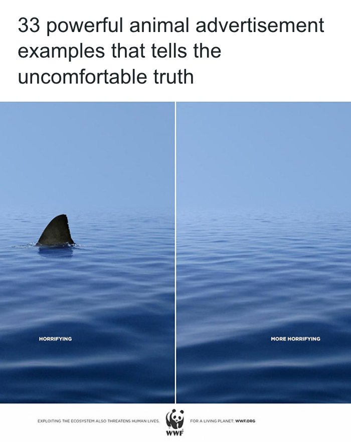 Bored - 33 powerful animal advertisement examples that tells the ...