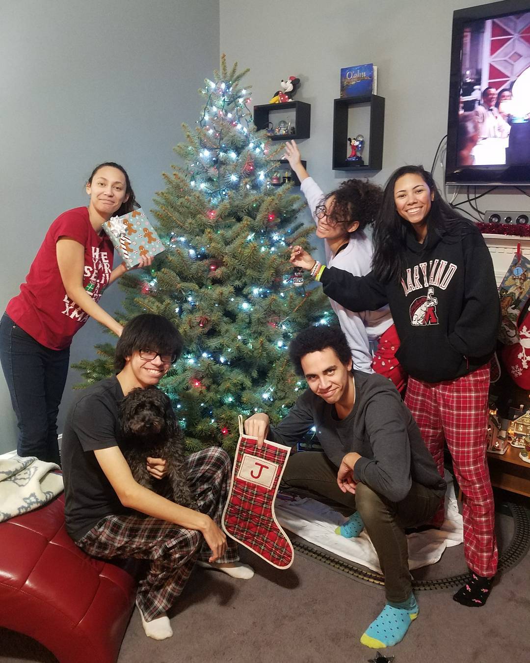 QOK Music - The tree is decorated🎄Take some time to spend...