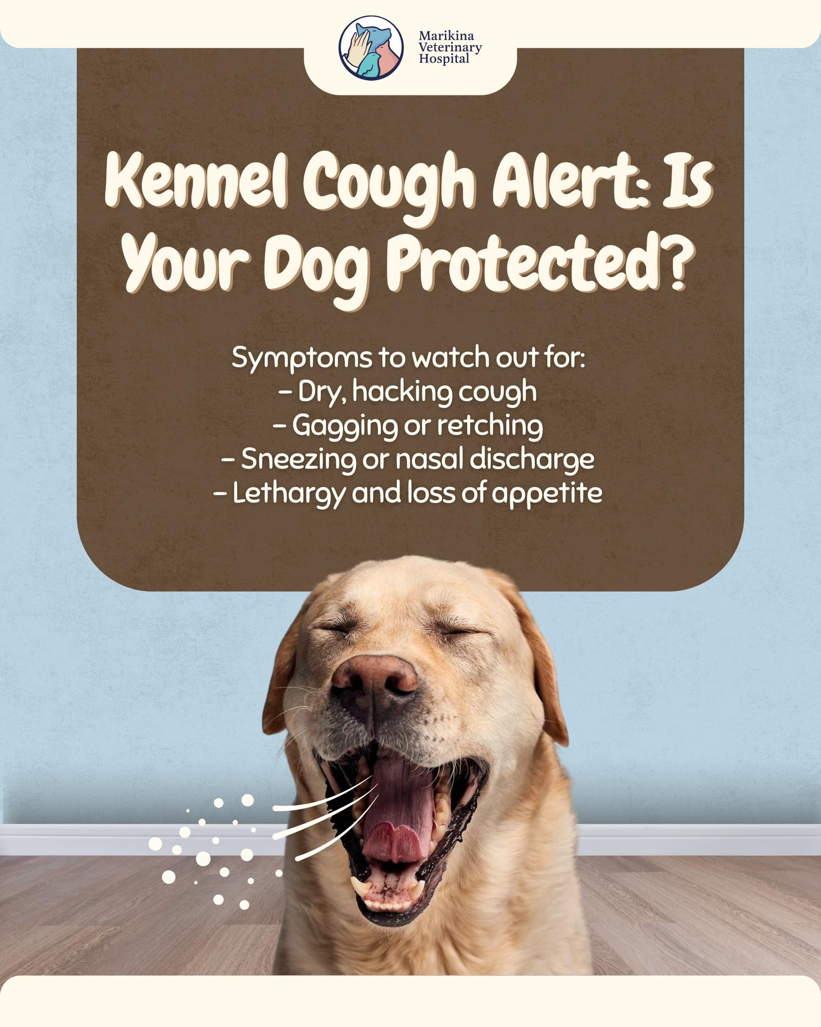 Marikina - 🐶 Kennel Cough: Is Your Dog at Risk? Kennel cough is a ...