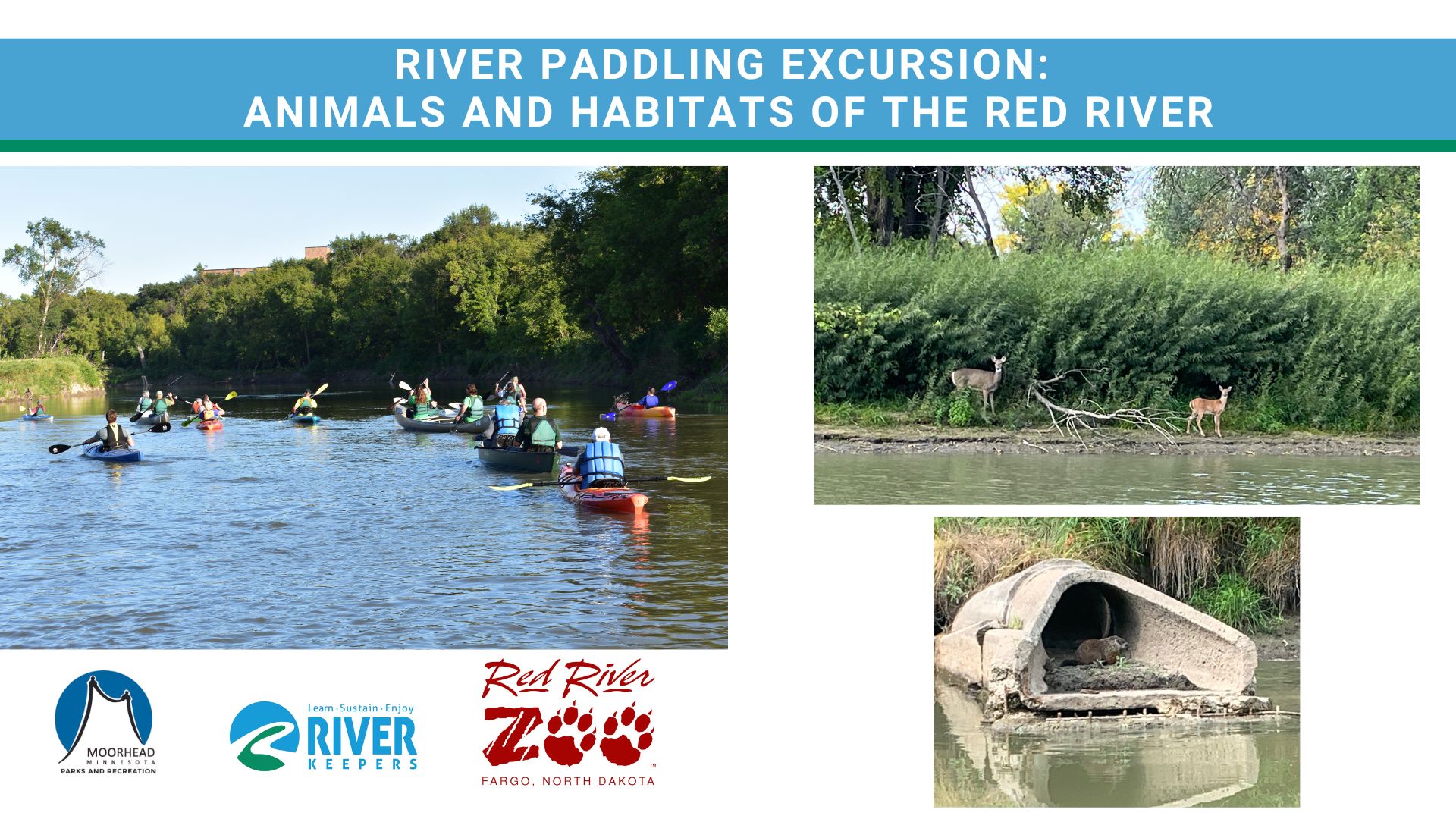River Paddling Excursion: Animals and Habitats of the Red River