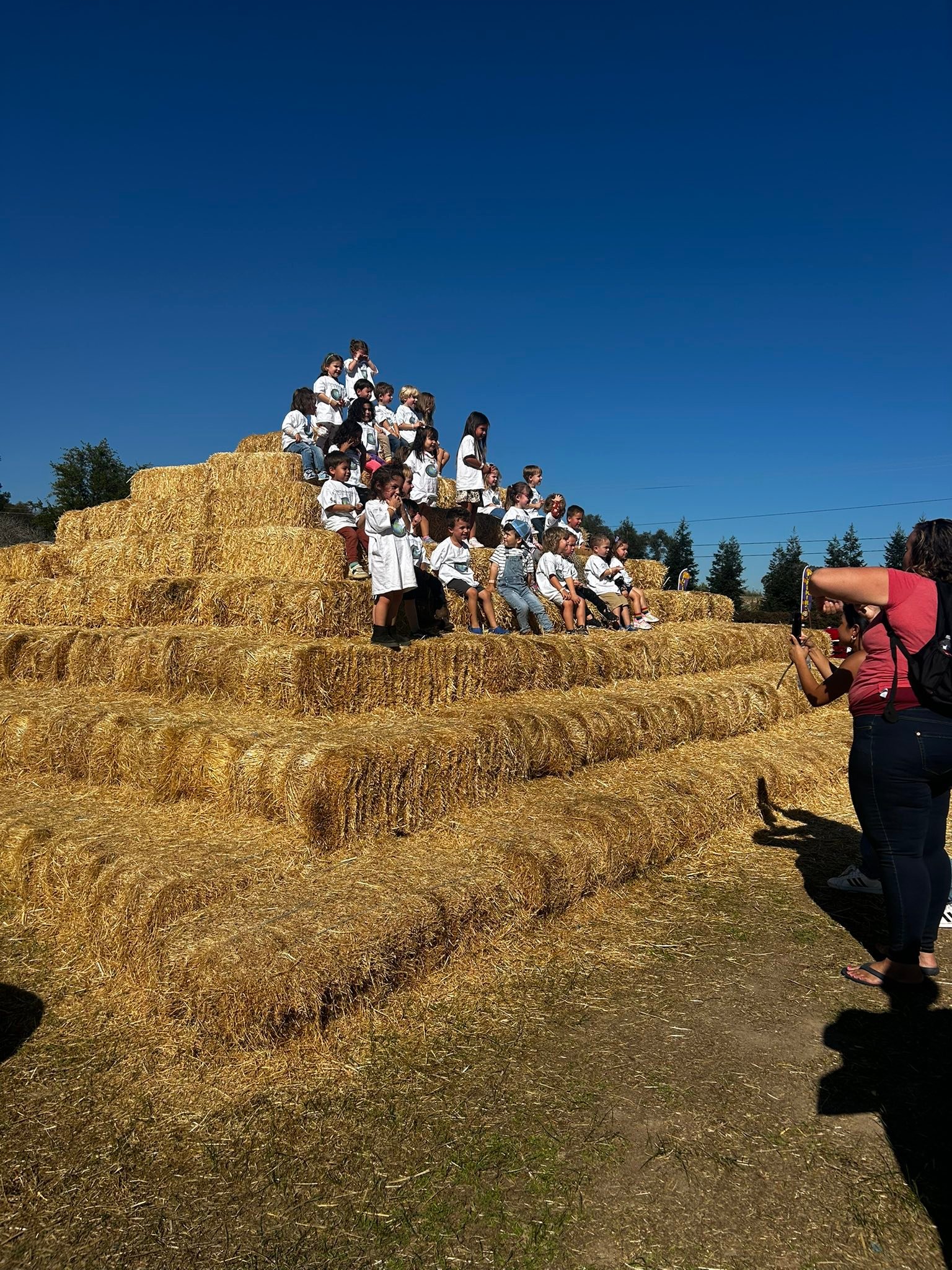 Rickey Ranch Pumpkin Patch | Granite Bay CA