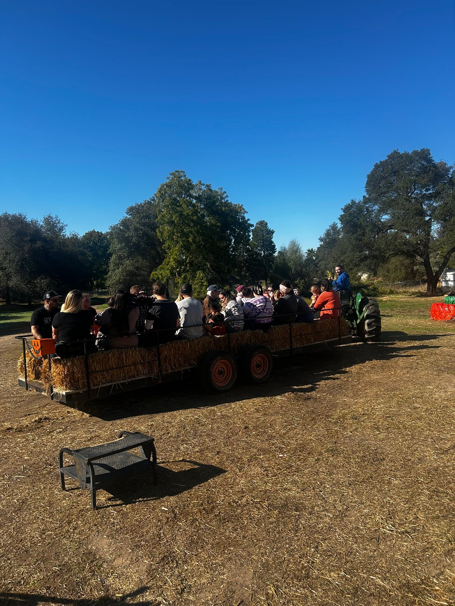 Rickey Ranch Pumpkin Patch | Granite Bay CA