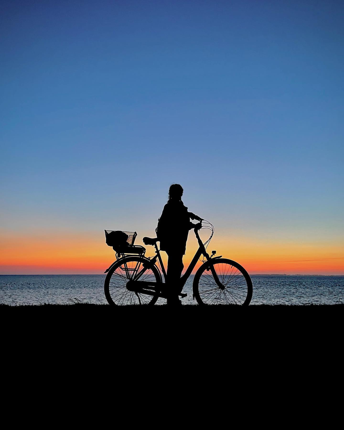 kinderfahrrad 3 5 jahre ATTABO Leichtes Fahrrad zum Fahrenlernen – – Aluminium – 14 Zoll Blau – Für Jungen und Mädchen bis Sport & Freizeit DER ROLAND FL Fahrradanhänger Category:City Urban Helme_Kunststoff Model Year:2024 Slant Back Bags