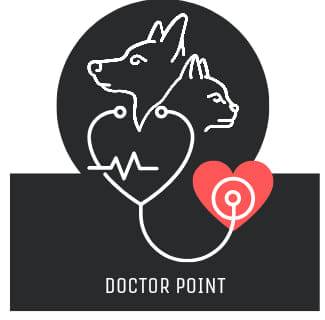 Doctor point
