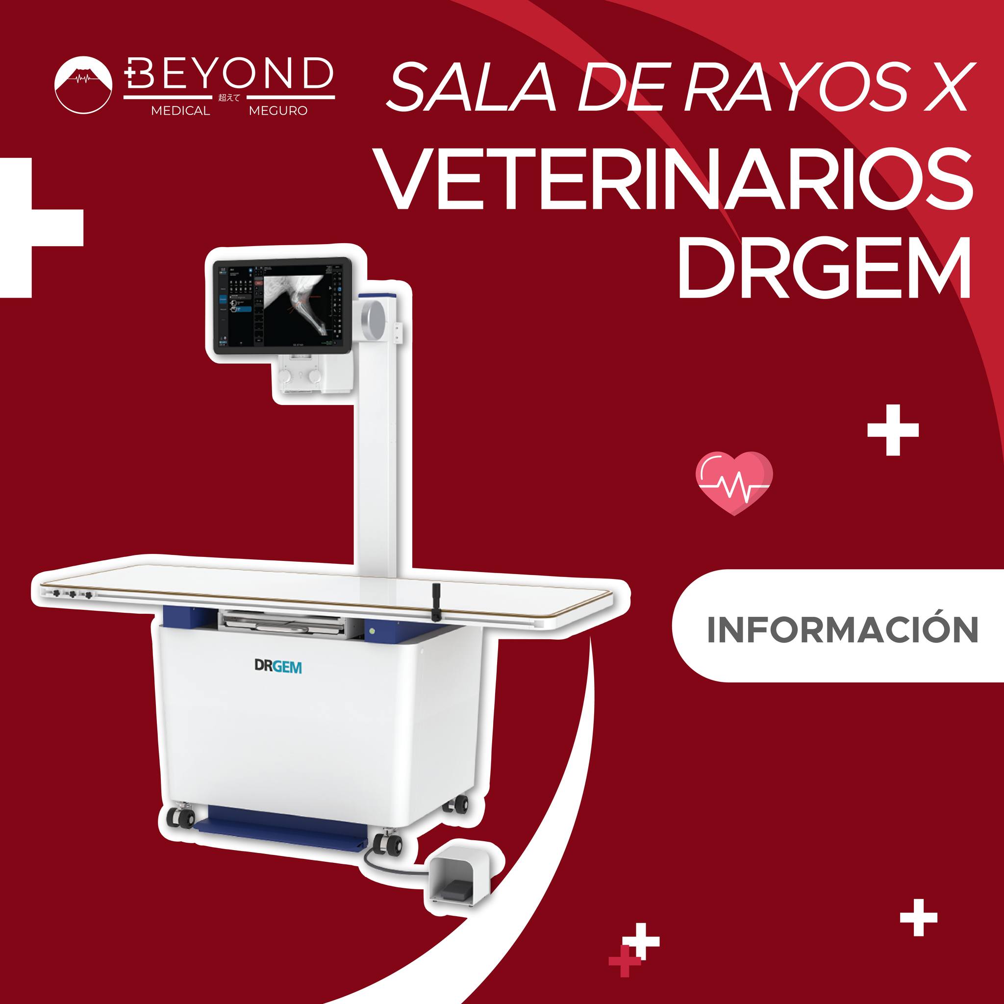 Beyond - VXR-E: Rayos X veterinarios con potencia y precisión 🐾 ...