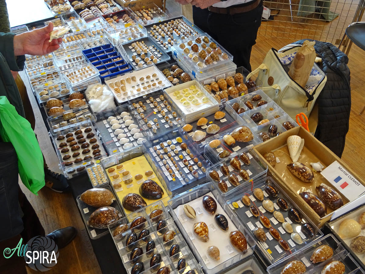 Allspira - Paris Shell Show 2025 (March 29-30) France - www.allspira ...