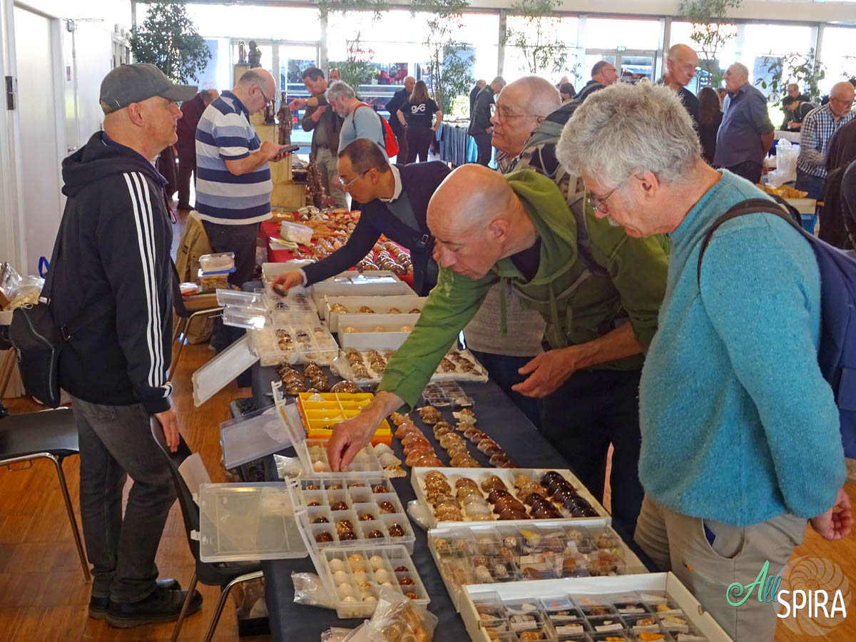 Allspira - Paris Shell Show 2025 (March 29-30) France - www.allspira ...