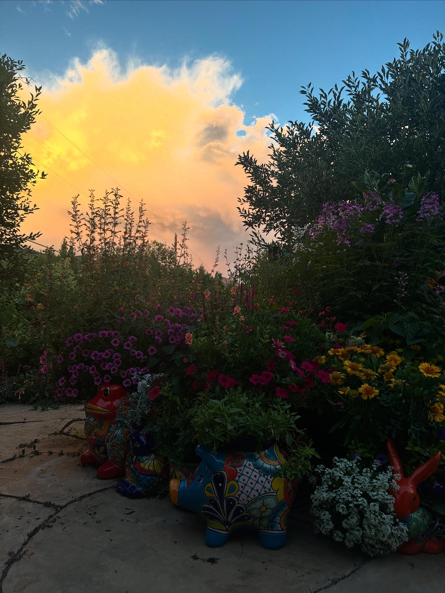 McCumber Fine Gardens | Santa Fe NM
