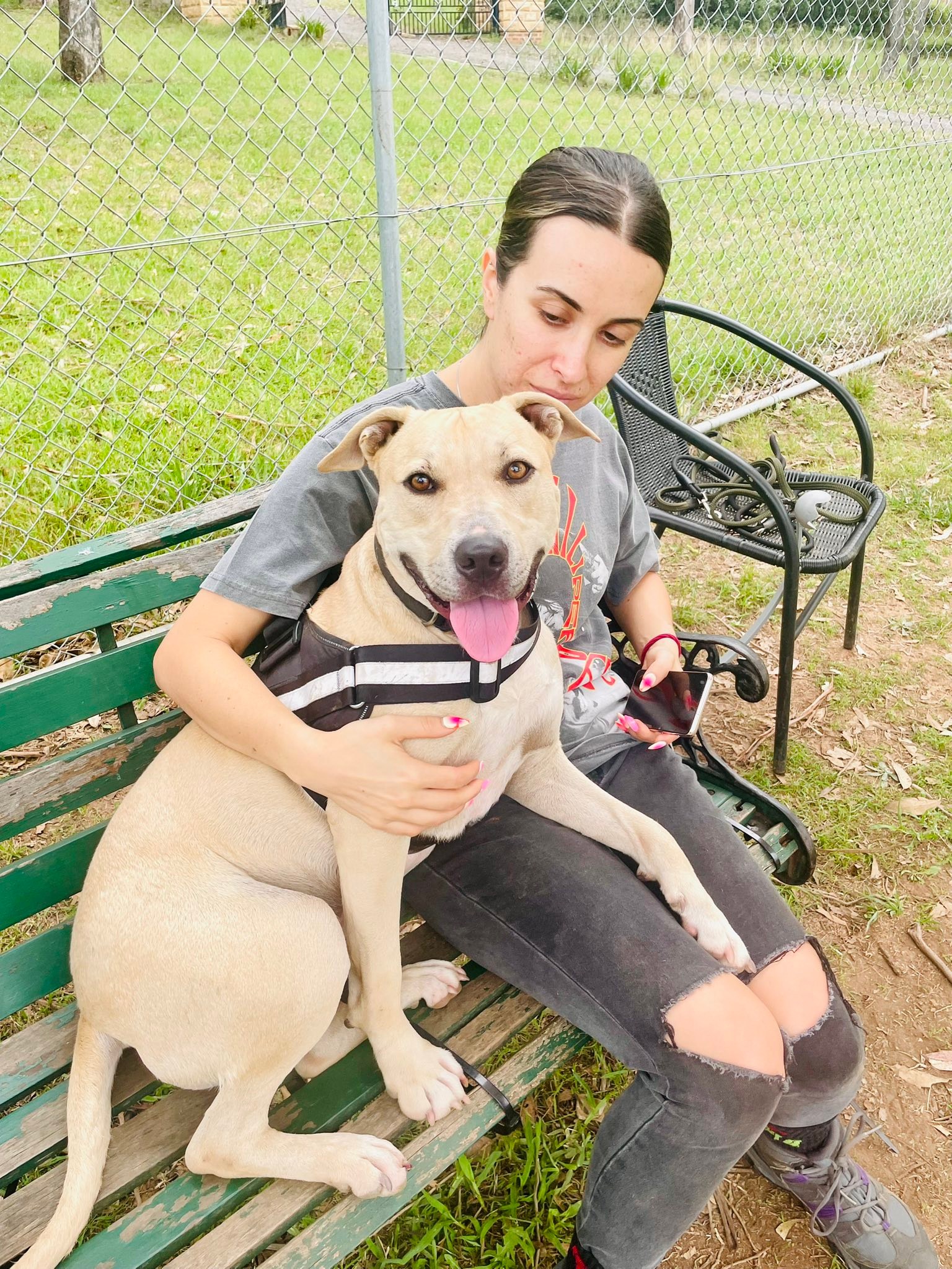 Rescue Hub - 💙 ☀️ This beautiful boy is Sonny! ☀️💙 Sonny... | Facebook