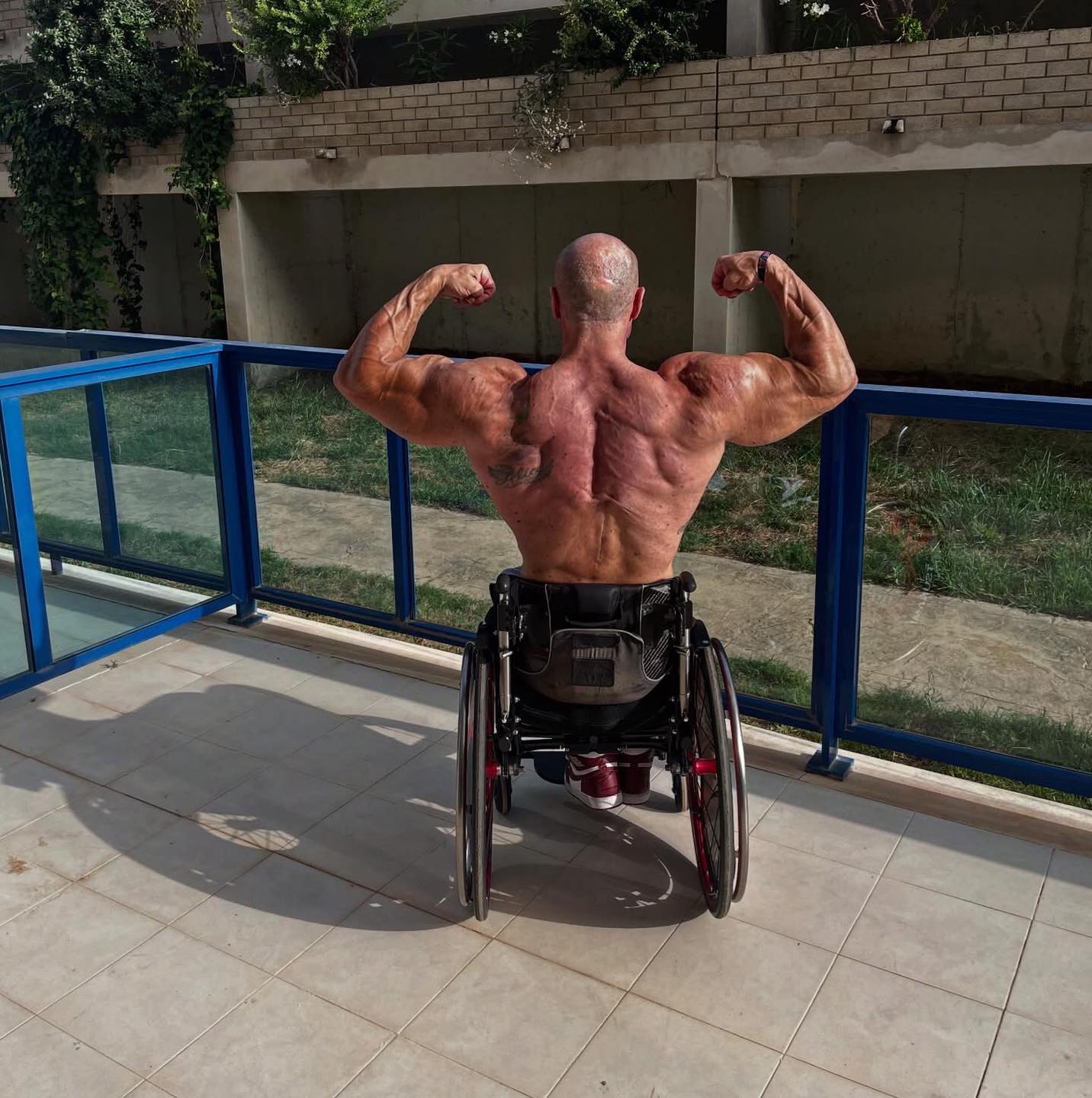 Culturismo - Bodybuilders News Gabriele Andriulli Ifbb Pro Wheelchair ...