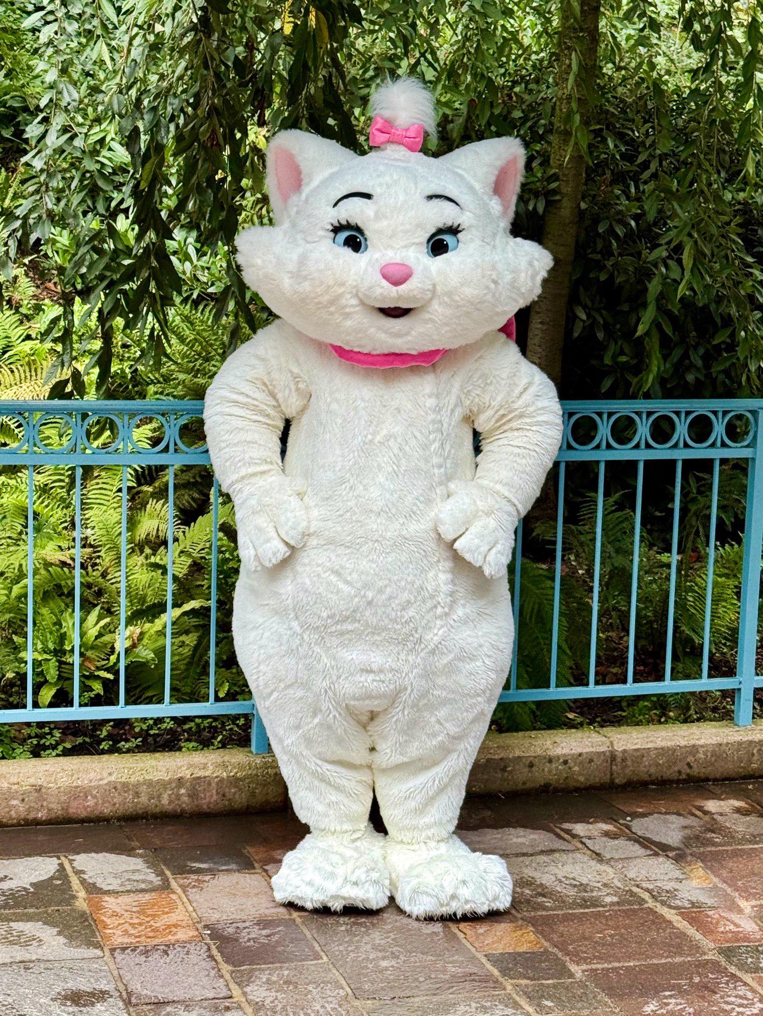 🐱 Marie from the Aristocats is visiting Disneyland Paris today