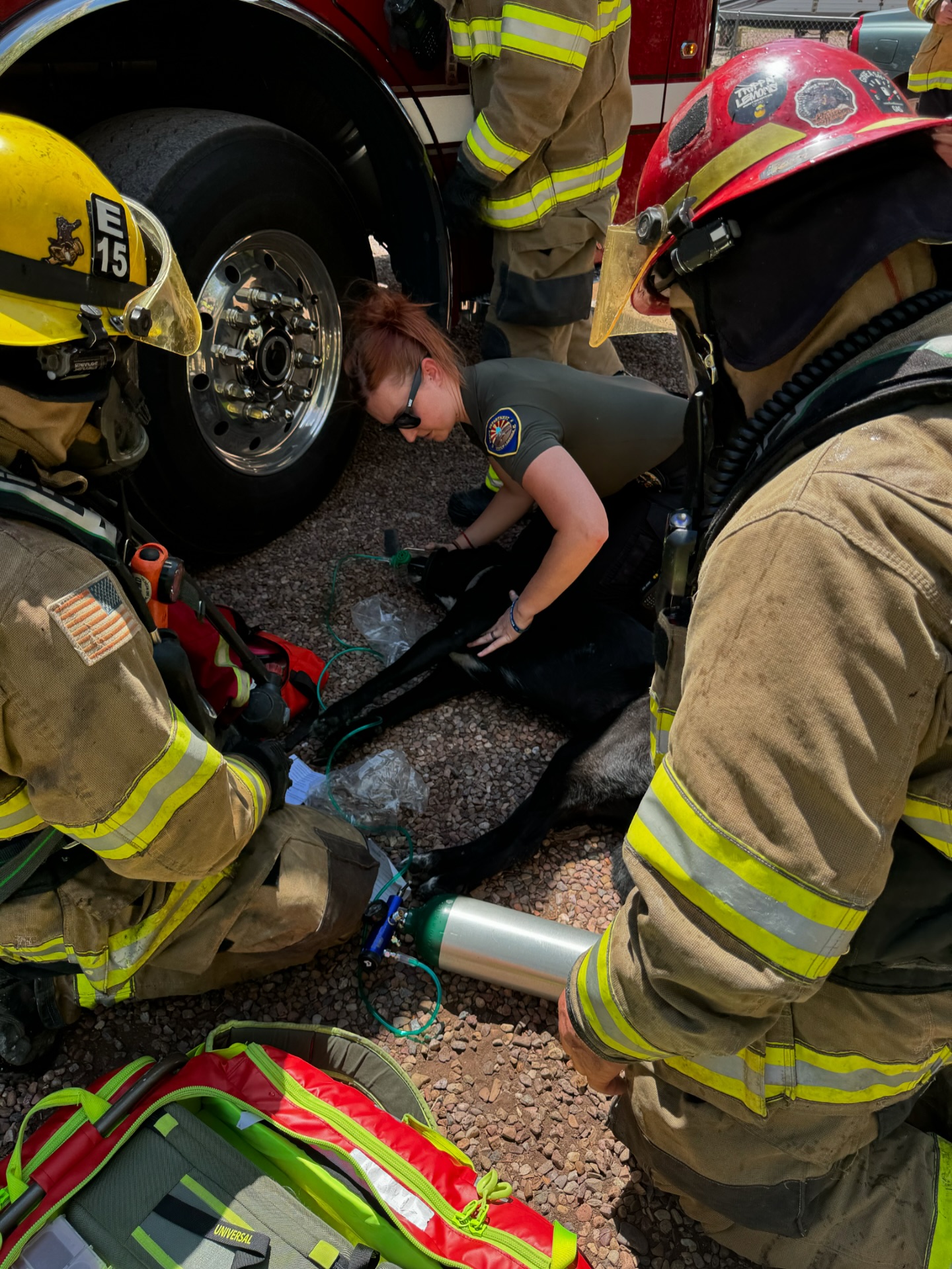 Timber Mesa Fire... - Timber Mesa Fire and Medical District