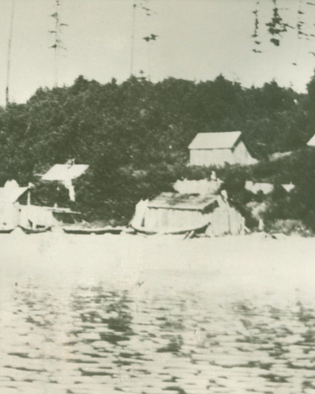 Samish Indian Nation | Anacortes WA