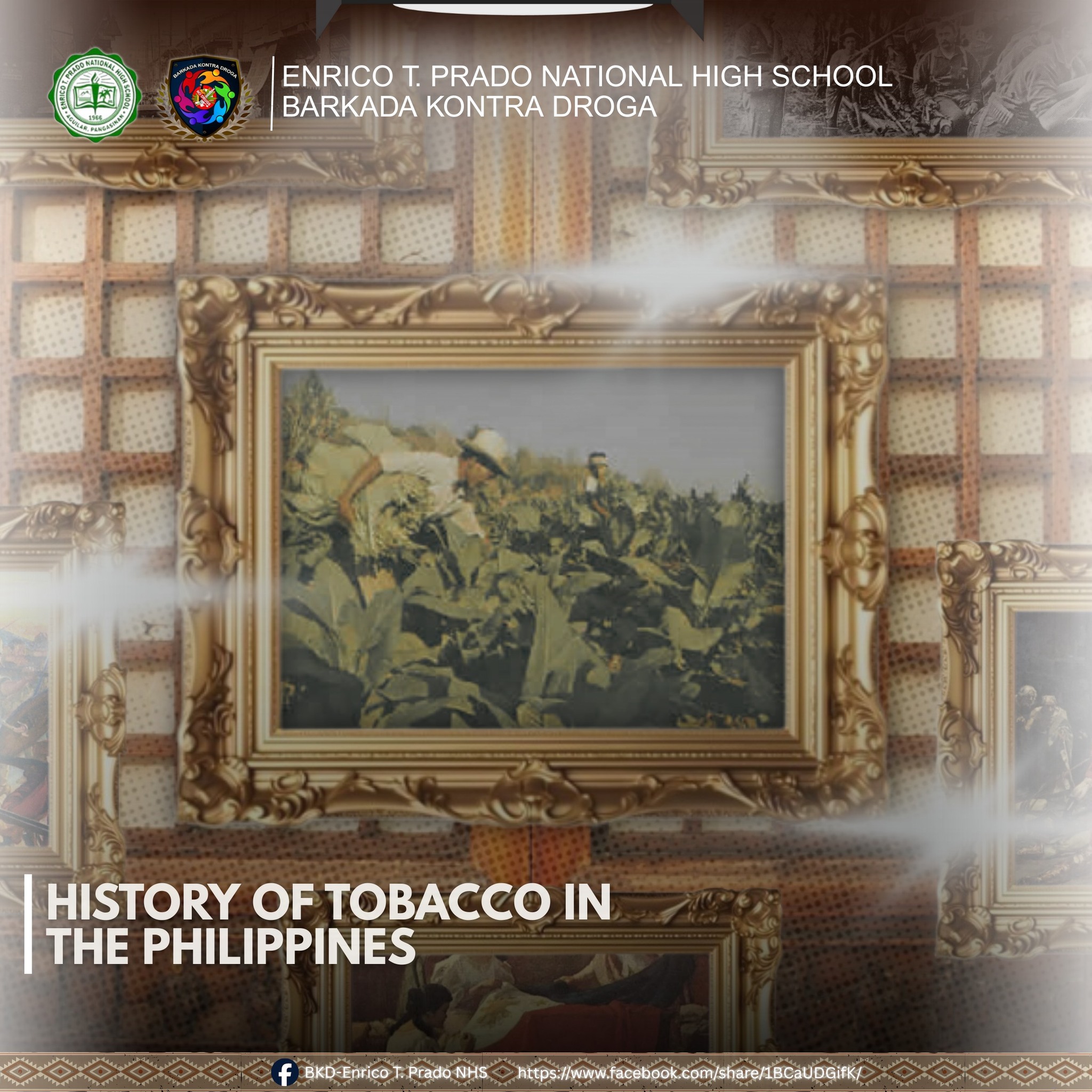 Tobacco was introduced in the Philippines in the late 16th century during  the era of Spanish colonization when the Augustinians brought cigar tobacco  seeds to the colony for cultivation. In 1686, William