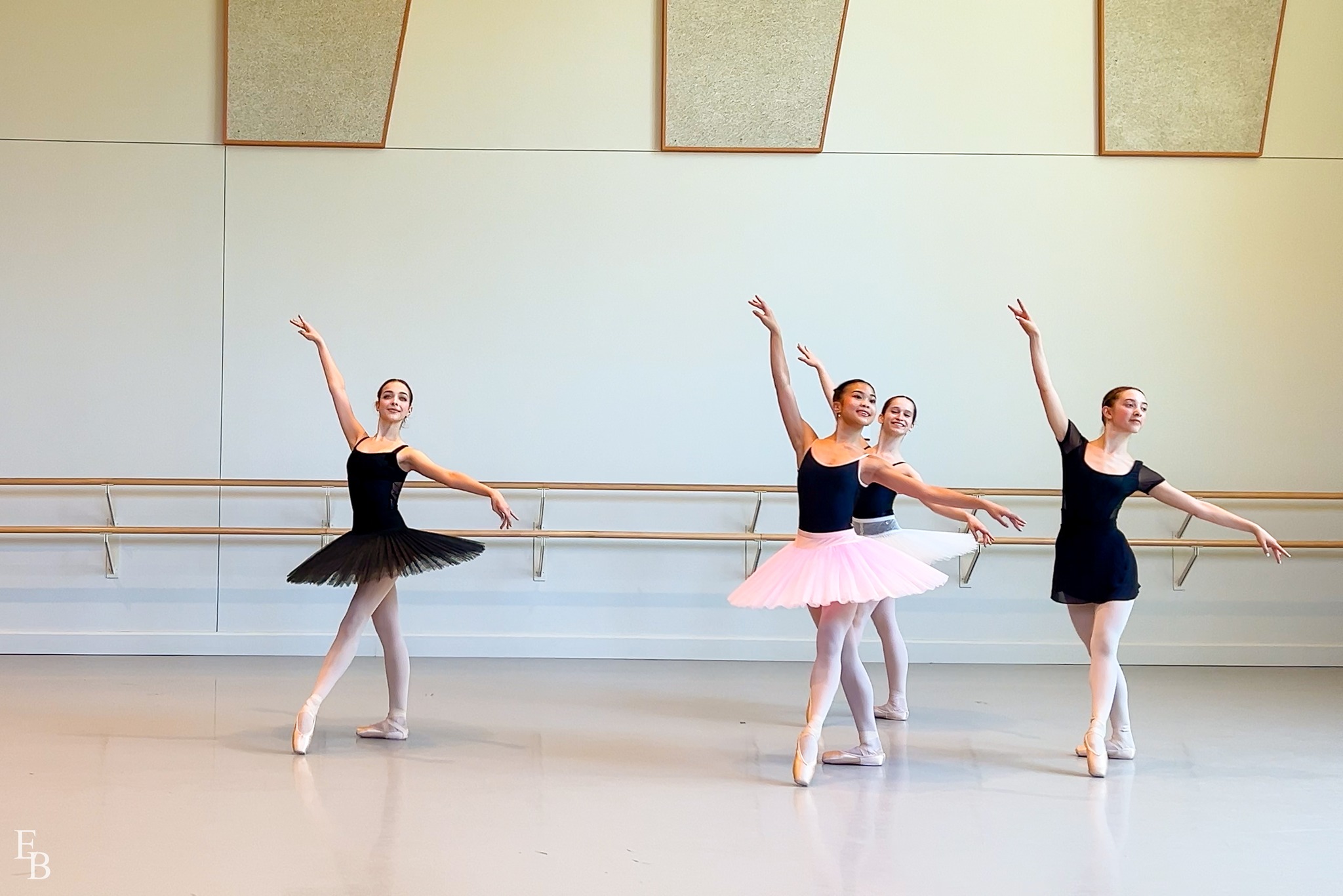 Ellison Ballet | New York NY