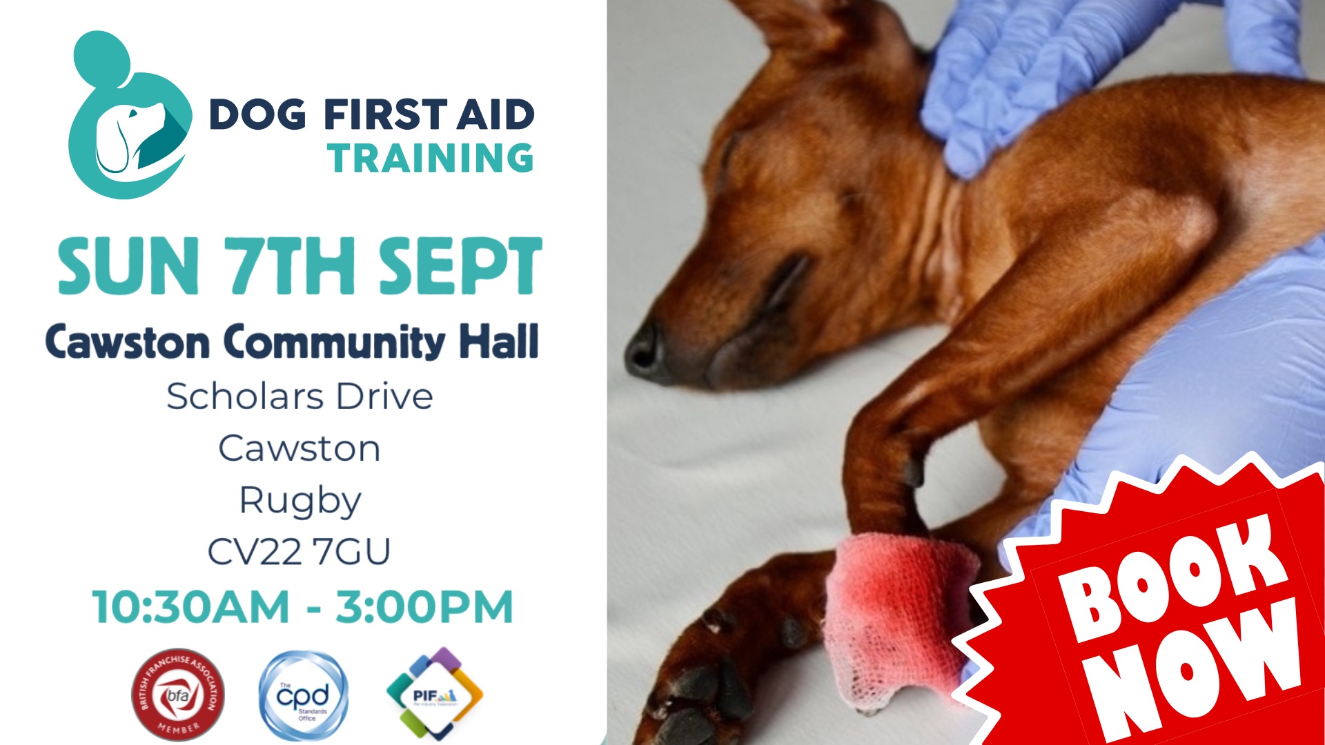 Cawston - Rugby Dog First Aid Course 🐶 ️‍🩹