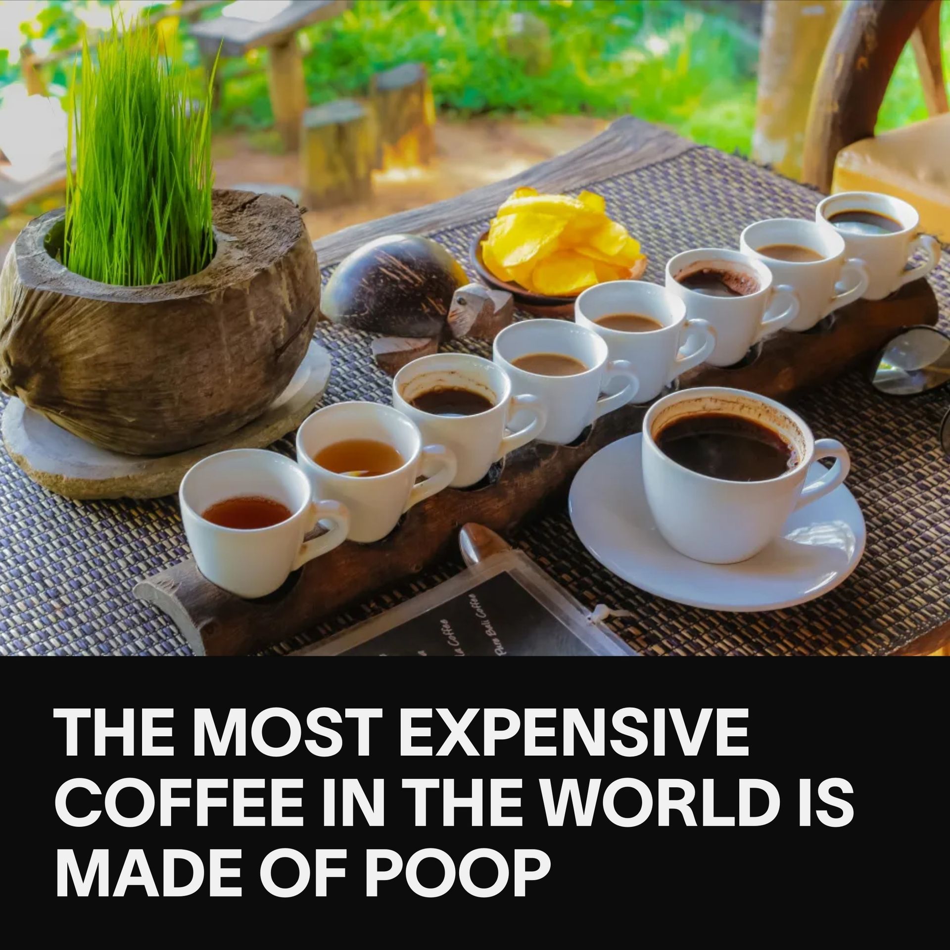 VICE - Luxury coffee has officially gone off the deep end.... | Facebook