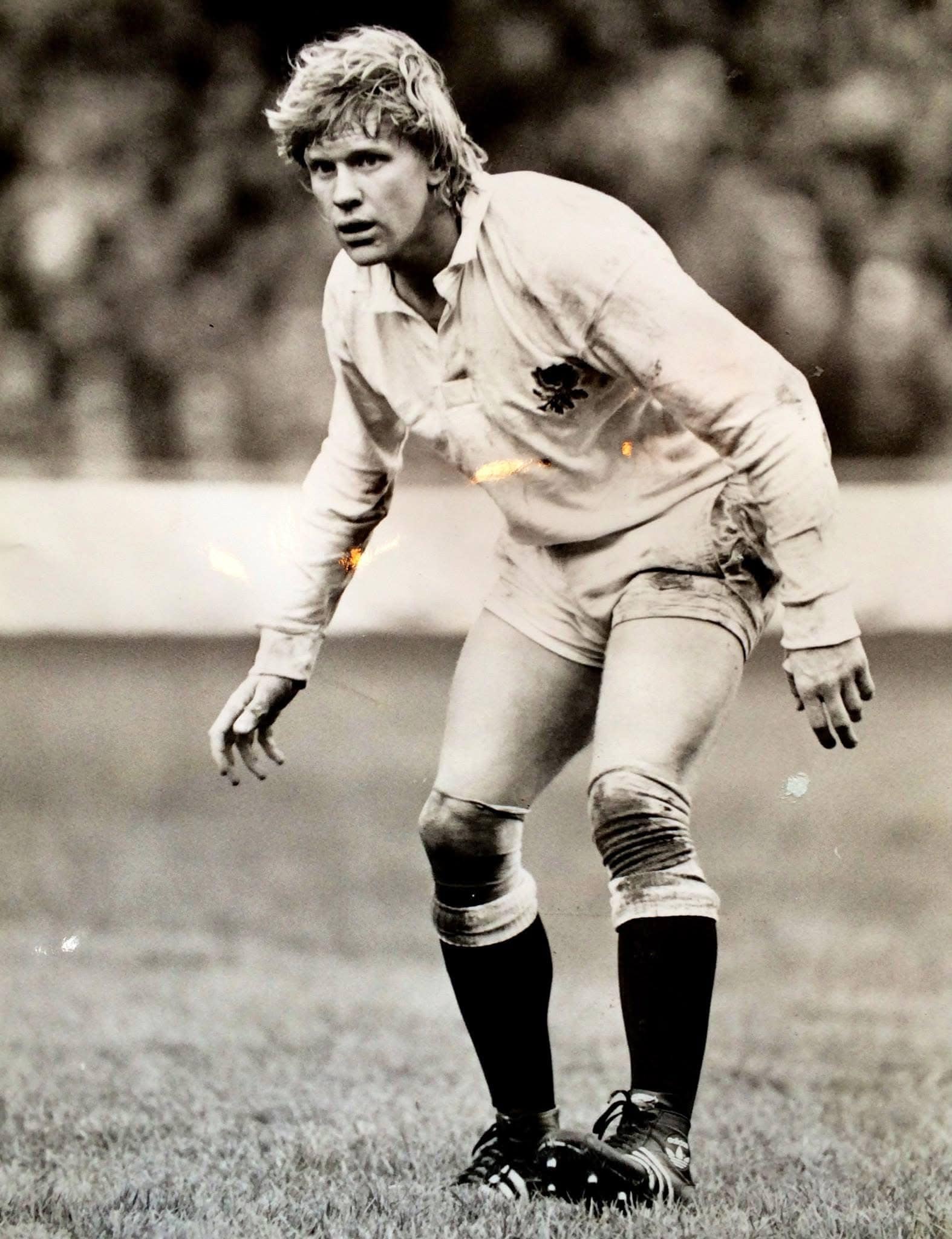 David Cooke