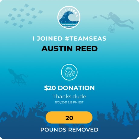 Austin Reed