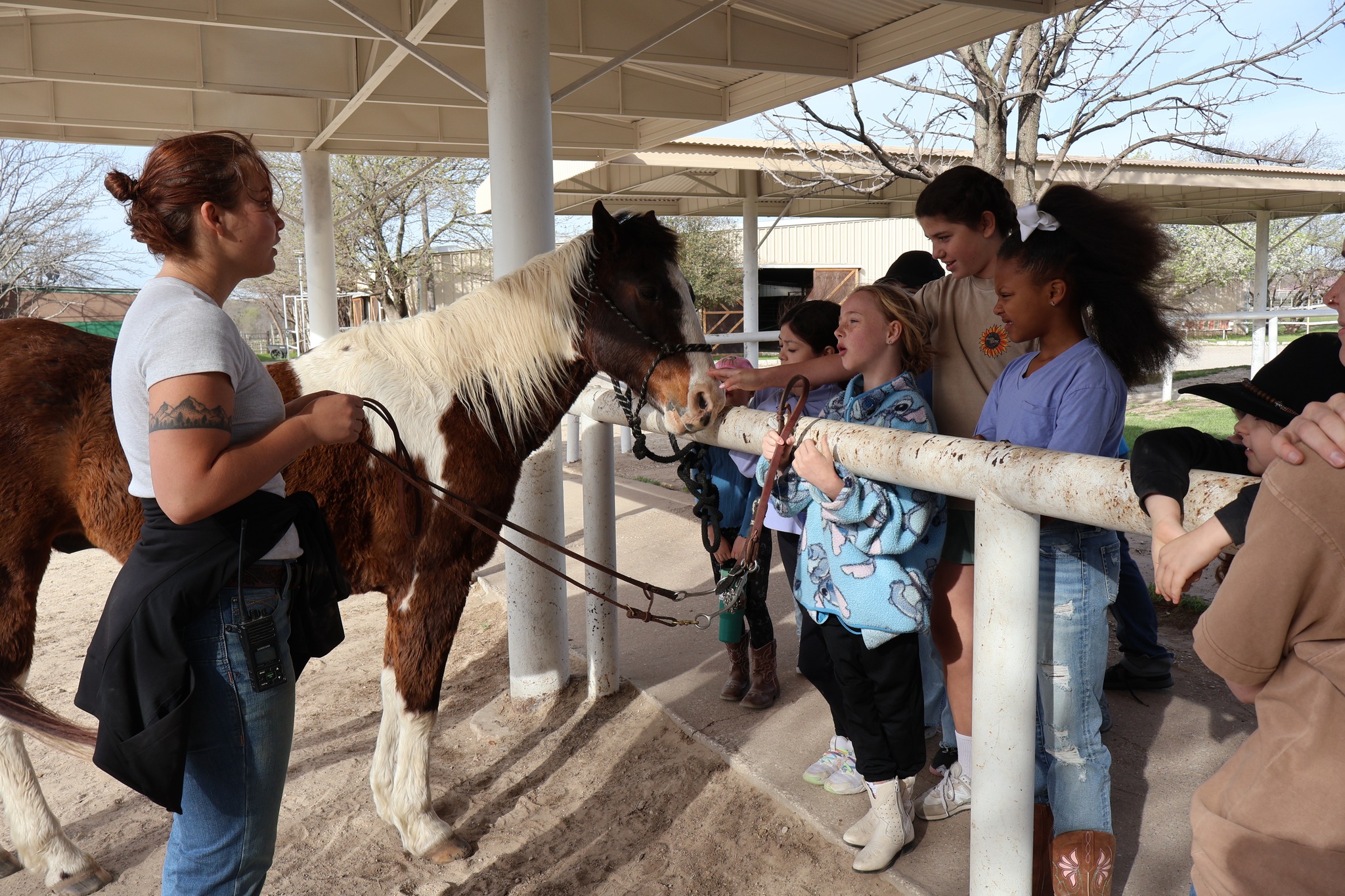 Benbrook Stables Horse Camp | Benbrook TX