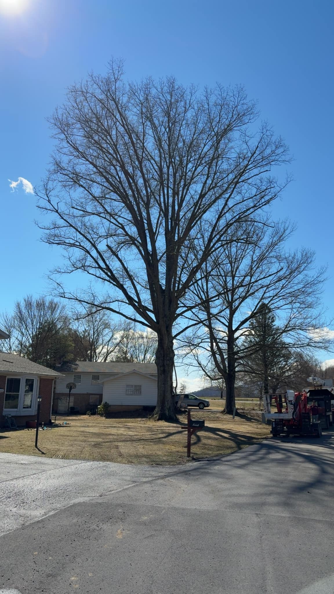 Timber Ridge Tree Service LLC