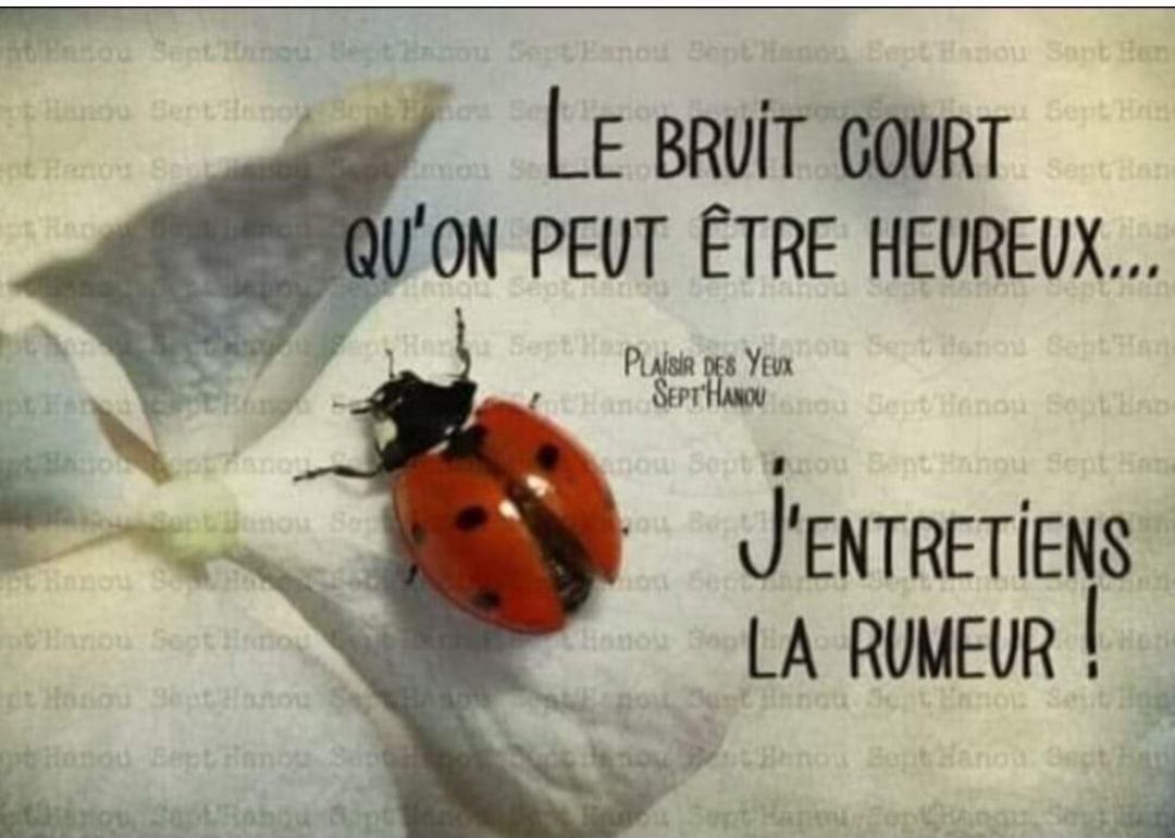 Addel - Que feriez vous si vous n'aviez plus peur ? Que se cache t il ...