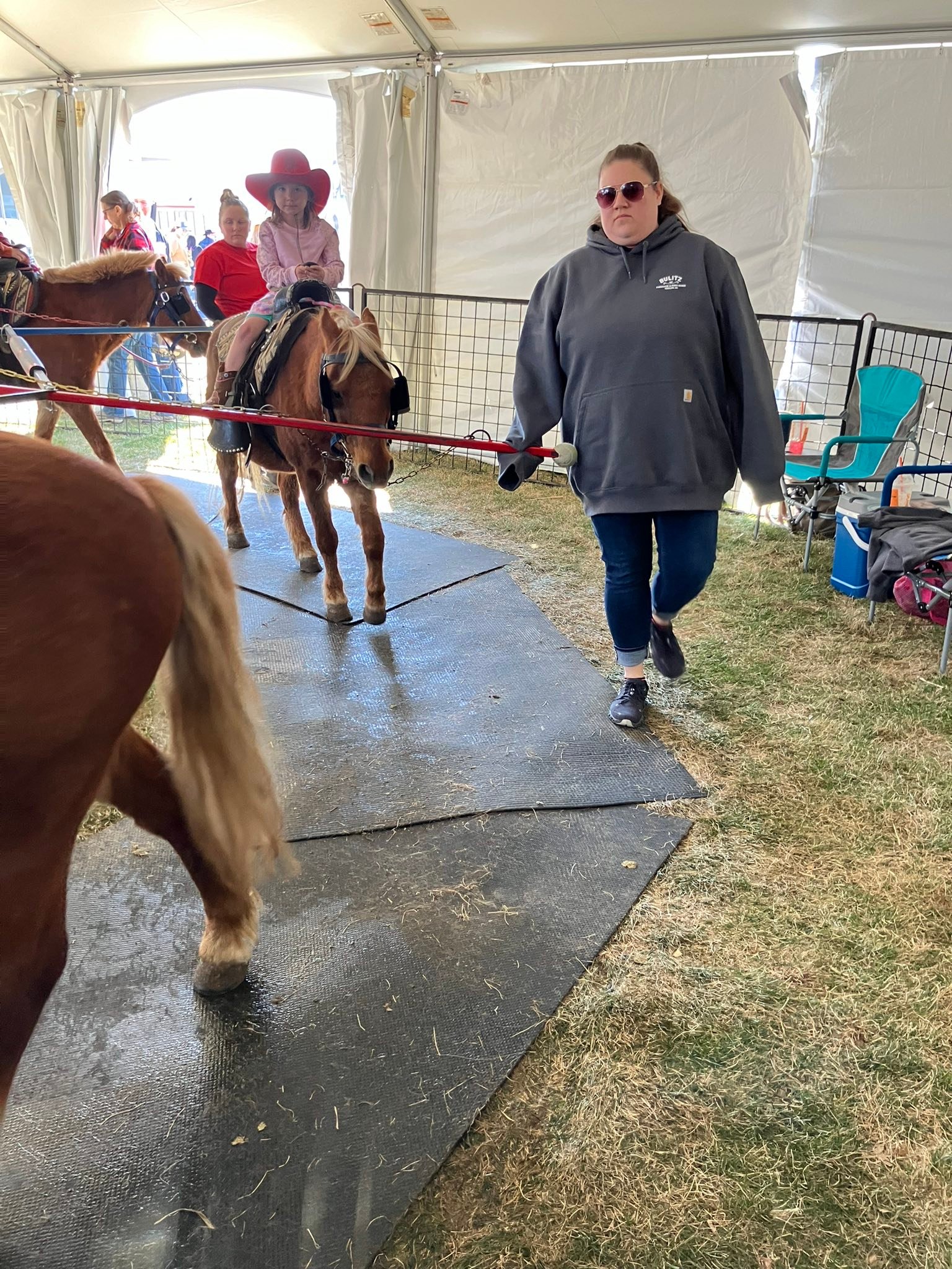 Bulitz Pumpkin Farm | Kohler WI