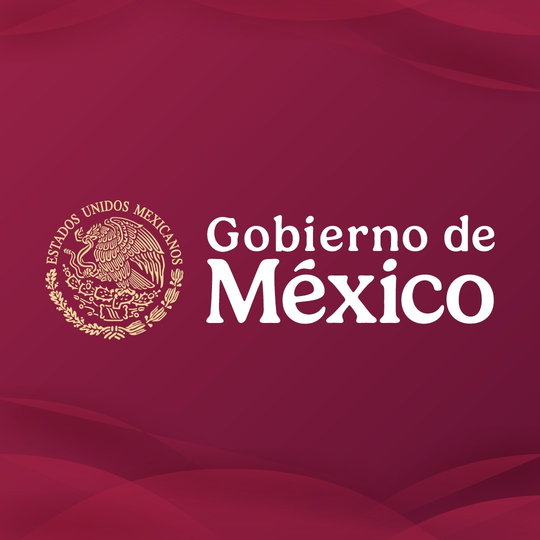 El general Gustavo Ricardo Vallejo... - Gobierno de México | Facebook