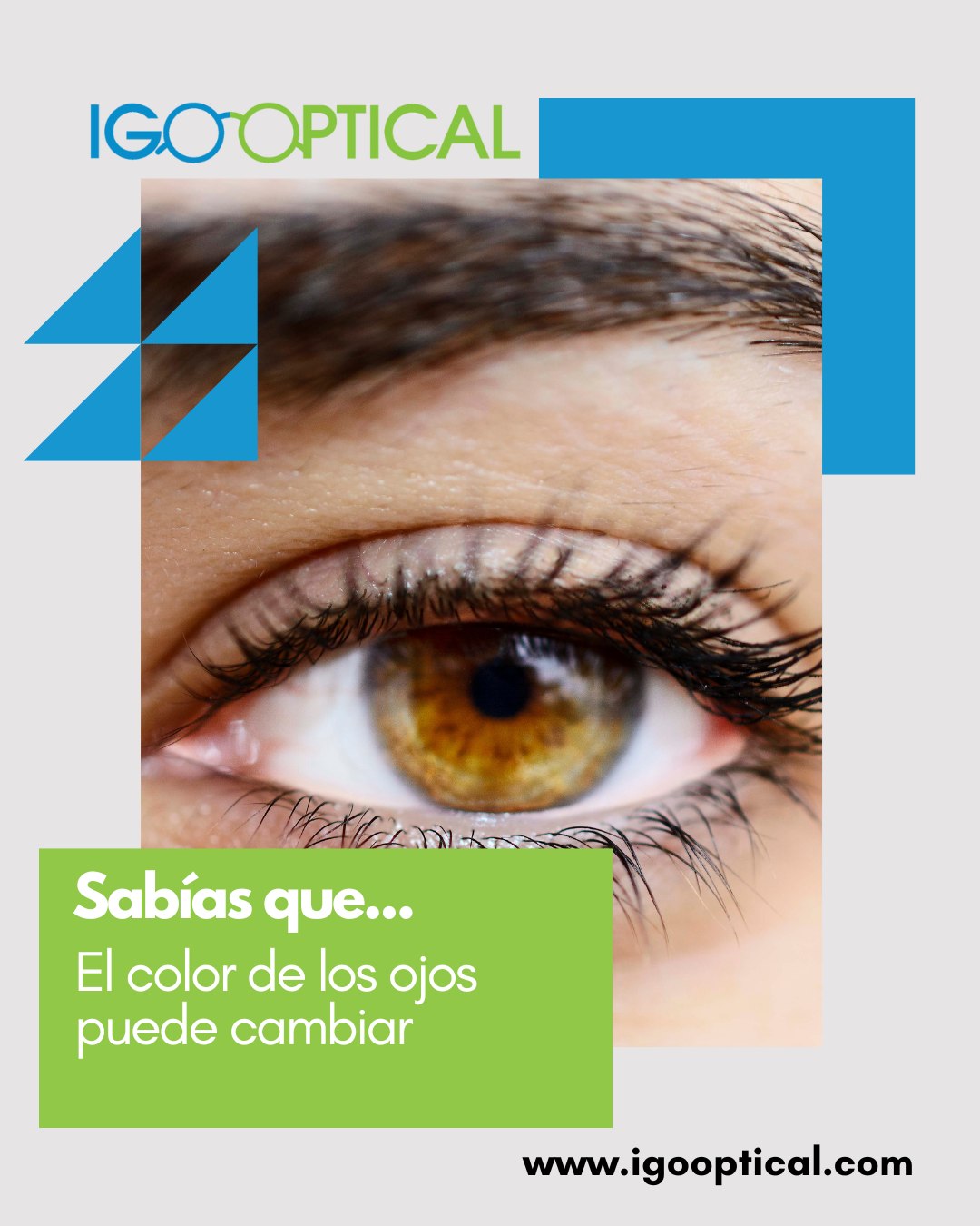 Igo-Optical - ¿Sabías que el color de tus ojos no es siempre el mismo ...