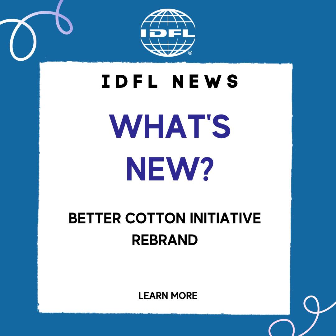 IDFL Vietnam | Ho Chi Minh City