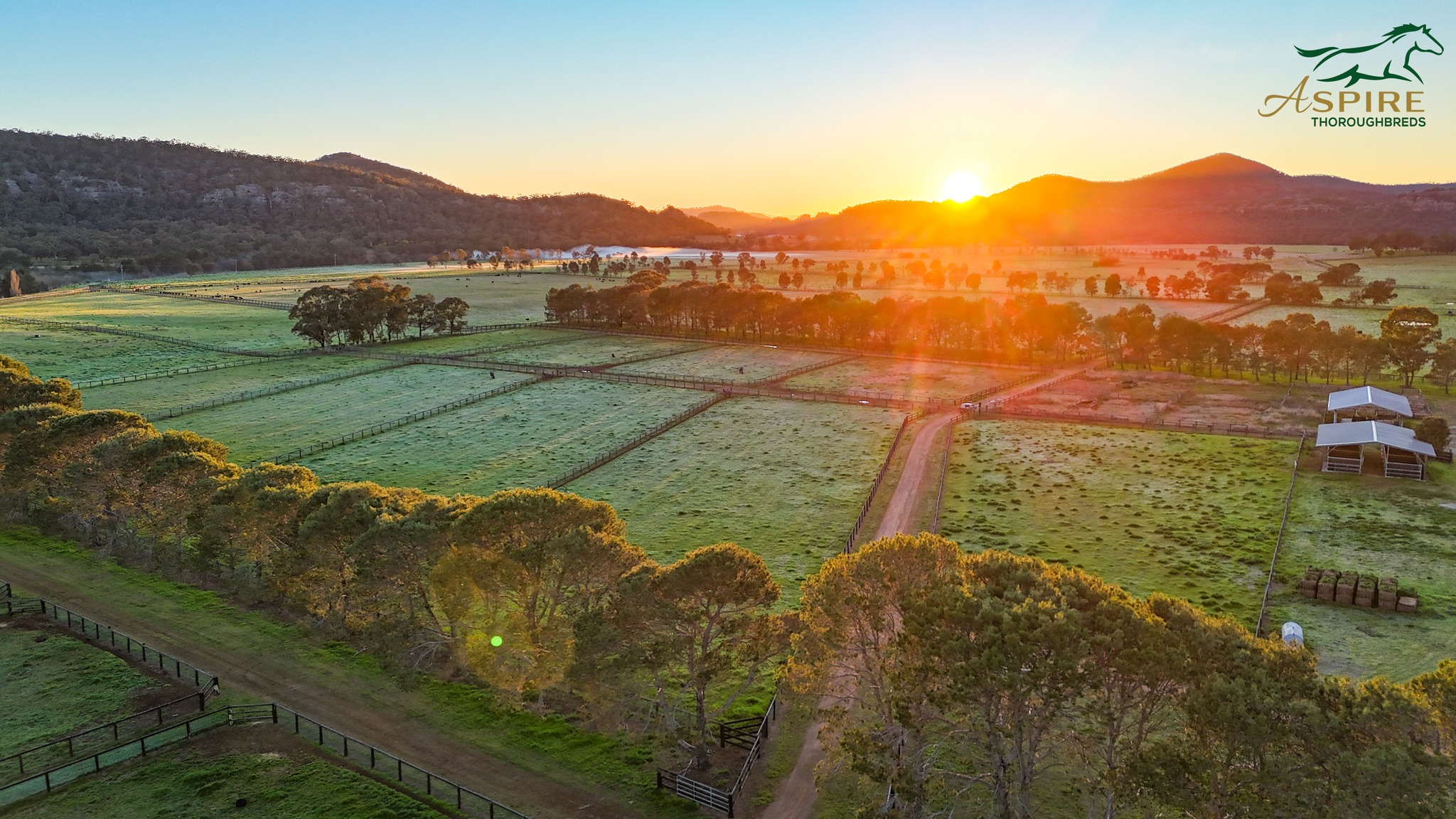 Aspire Thoroughbreds | Sandy Hollow NSW
