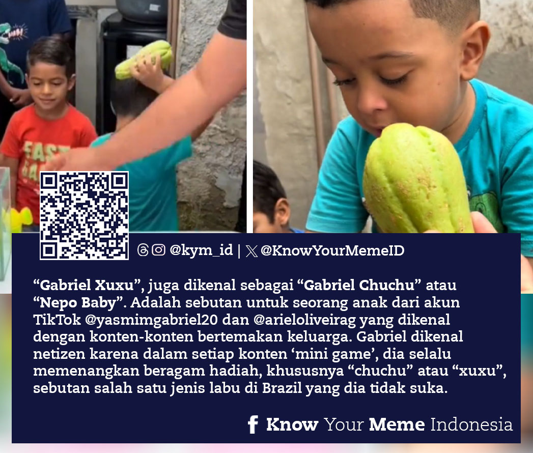 Know - Source: xhttps://knowyourmeme.com/memes/people/gabriel-xuxu-nepo ...