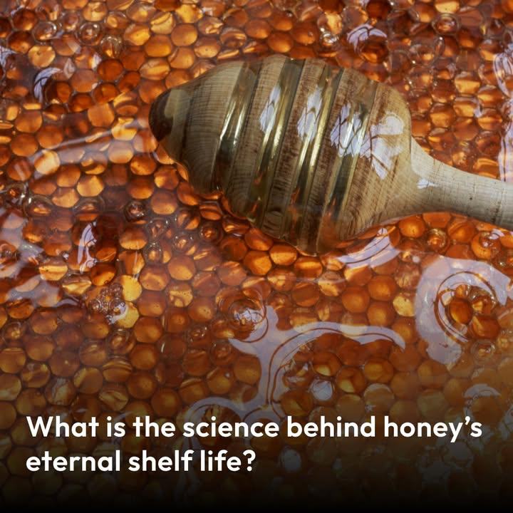Smithsonian - There are a few other examples of foods that keep ...