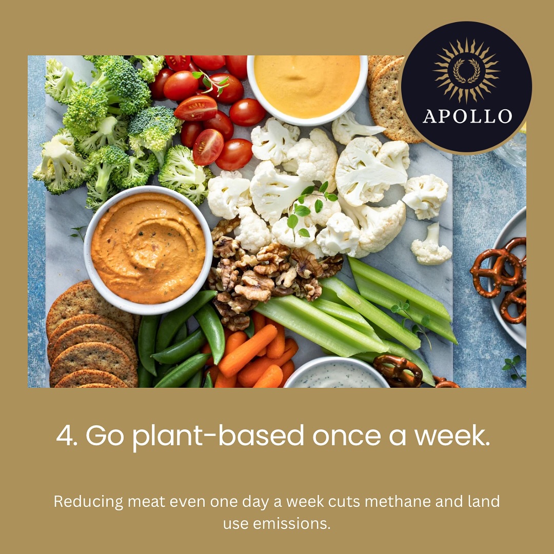 Apollo Renewable Installations | Ringwood
