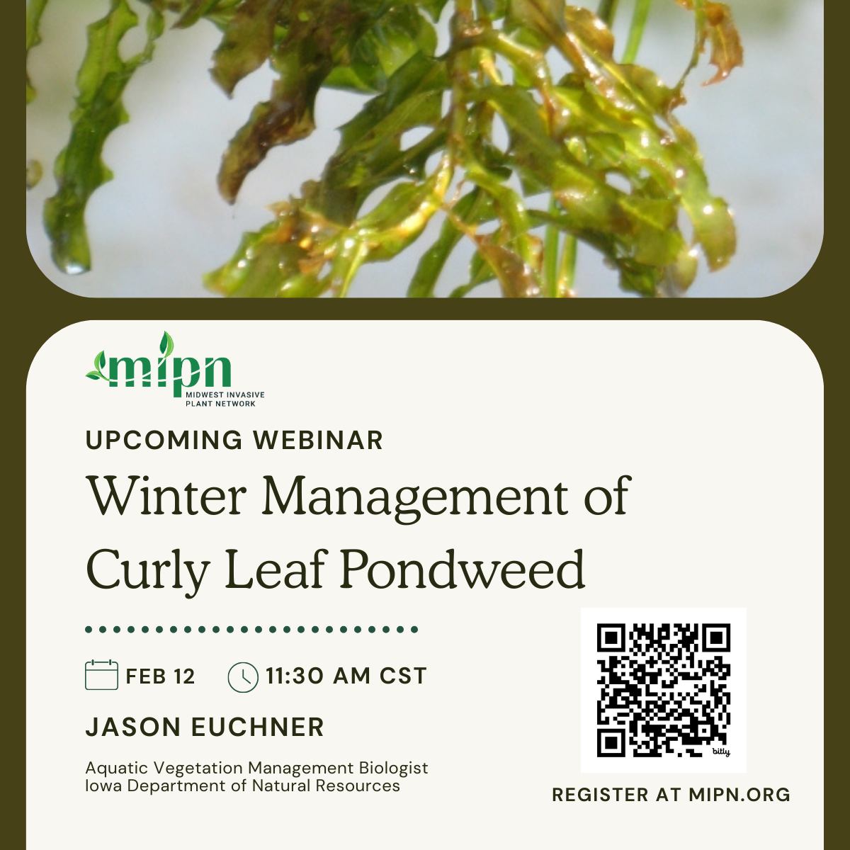 Midwest Invasive Species Information Network (MISIN) | East Lansing MI