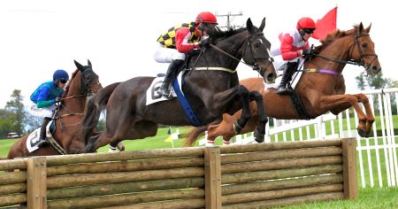 We have received many of your... - Virginia Fall Races | Facebook