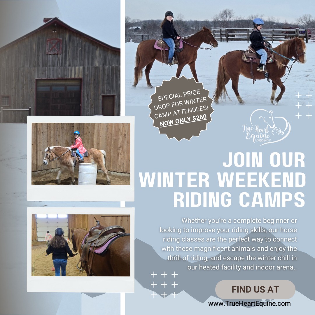 True - A laid back weekend beginner horse activity for ALL AGES. This ...