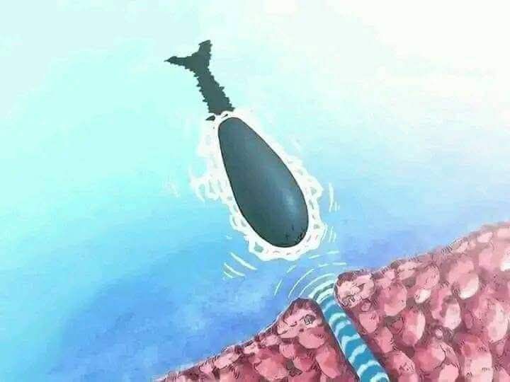 Laboon adalah paus yang sangat... - Animeme Ngakak Lovers | Facebook